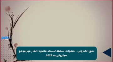 دفع إلكتروني.. خطوات سهلة لسداد فاتورة الغاز عبر موقع «بتروتريد» 2025
